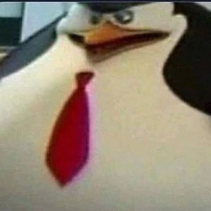 Meet your Posher, Levi